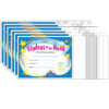 Student of The Week Colorful Classics Certificates, 30 Per Pack, 6 Packs