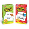 ERST-53906_2.jpg Picture Words Skill Drill Flash Cards Assortment