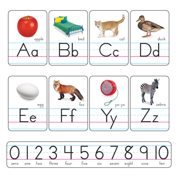 ERST-721.jpg Photo Alphabet Cards Zaner-Bloser Manuscript Bulletin Board Set