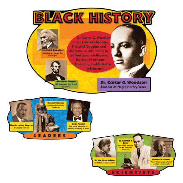 ERST-8095.jpg Black History Bulletin Board Set
