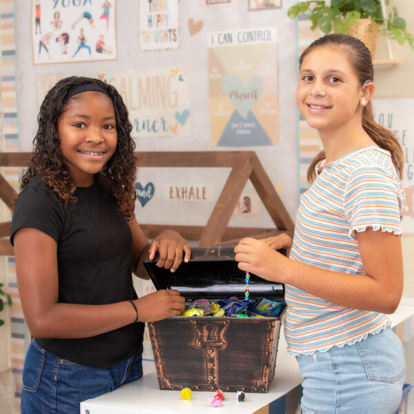 Desk Pets - Animal Friends, 40 Per Pack, 2 Packs