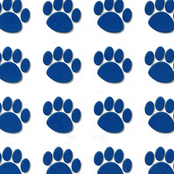 ERSTCR5747-12_1-1.jpg Blue Paw Prints Stickers, 1" Square, 120 Per Pack, 12 Packs