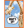 Go Wild Animals Small Poster Pack Go Wild Animals Small Poster Pack