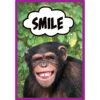 Go Wild Animals Small Poster Pack Go Wild Animals Small Poster Pack