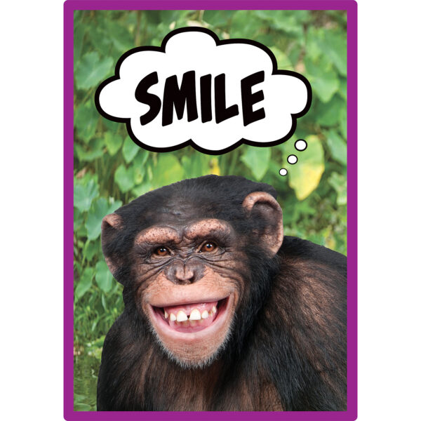 Go Wild Animals Small Poster Pack Go Wild Animals Small Poster Pack