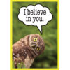 Go Wild Animals Small Poster Pack Go Wild Animals Small Poster Pack