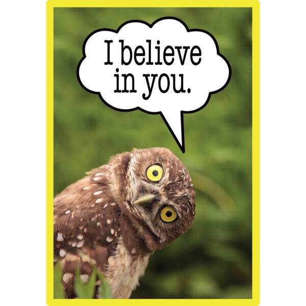 Go Wild Animals Small Poster Pack Go Wild Animals Small Poster Pack