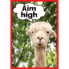 Go Wild Animals Small Poster Pack Go Wild Animals Small Poster Pack
