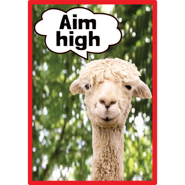 Go Wild Animals Small Poster Pack Go Wild Animals Small Poster Pack