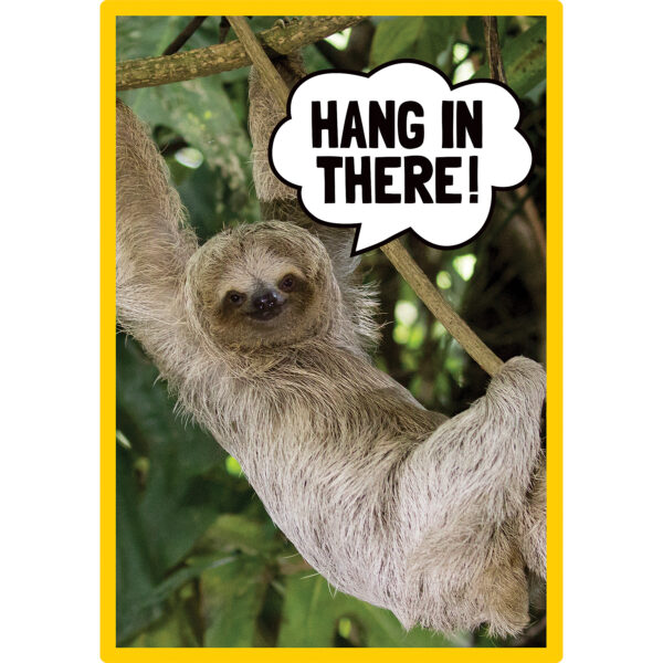 Go Wild Animals Small Poster Pack Go Wild Animals Small Poster Pack