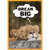 Go Wild Animals Small Poster Pack Go Wild Animals Small Poster Pack