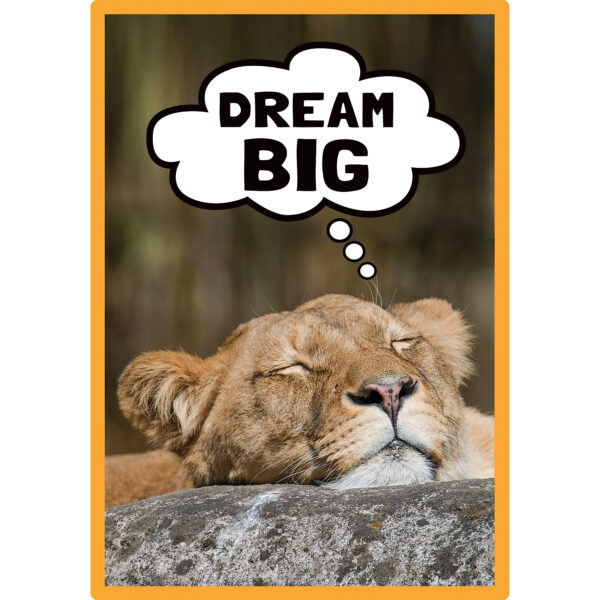 Go Wild Animals Small Poster Pack Go Wild Animals Small Poster Pack
