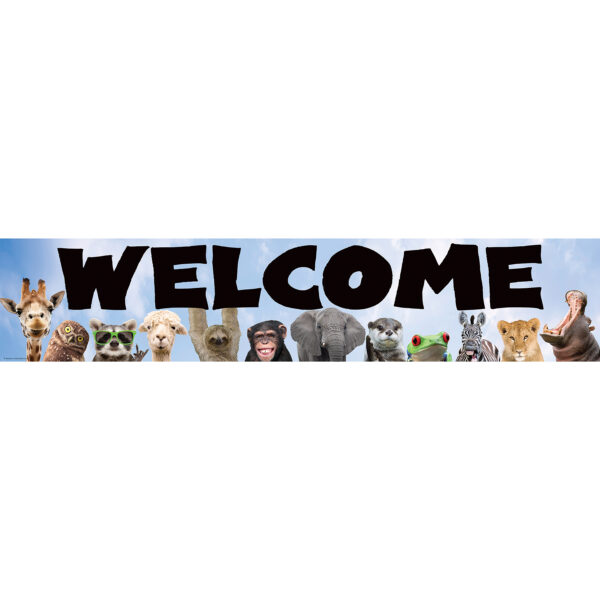 Go Wild Animals Welcome Banner, 8" x 39", Pack of 6