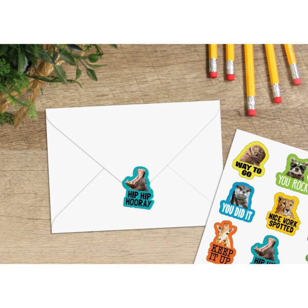 Go Wild Animals Stickers, 72 Per Pack, 12 Packs