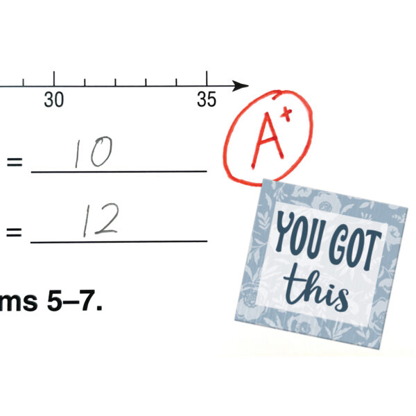 Classroom Cottage Stickers, 120 Per Pack, 12 Packs