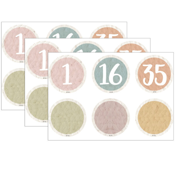 Everyone is Welcome Numbers Magnetic Accents Everyone is Welcome Numbers Magnetic Accents, 42 Per Pack, 3 Packs