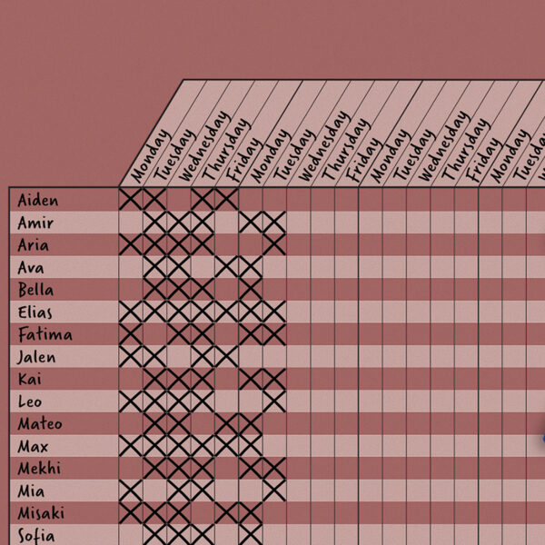 Deep Rose Incentive Write-On-Wipe-Off Chart, Pack of 6