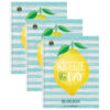 Lemon Zest Record Book, Pack of 3
