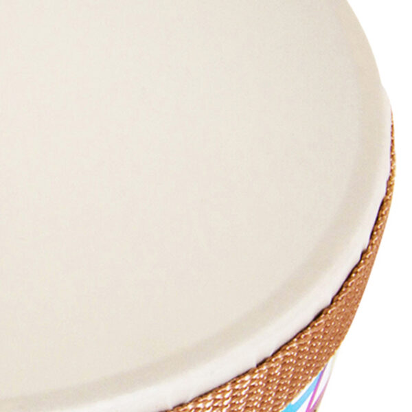 Remo Hand Drum, Pack of 2