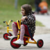 Toddler Trike