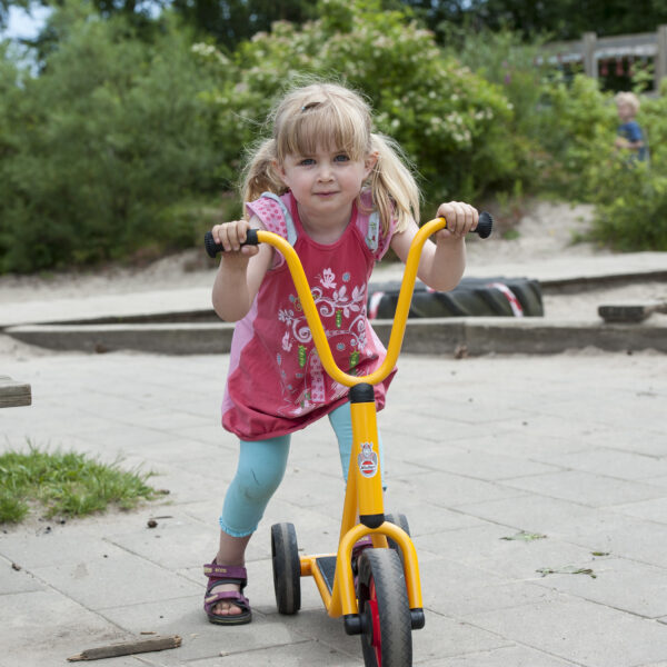 3 Wheel Scooter
