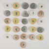 Lowercase Alphabet Pebbles, Set of 26
