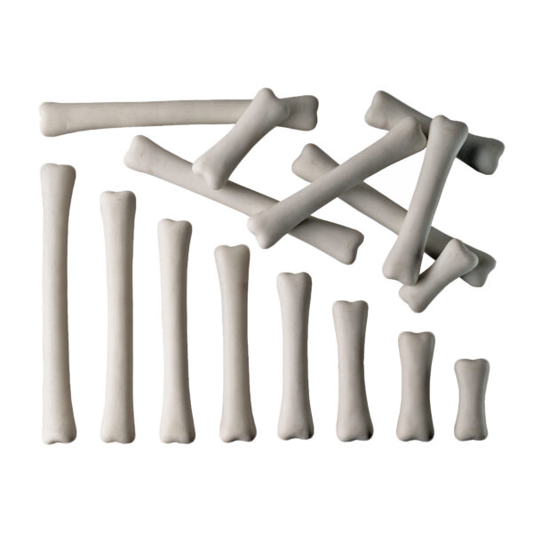 ERSYUS1033.jpg Dinosaur Bones Match & Measure Set