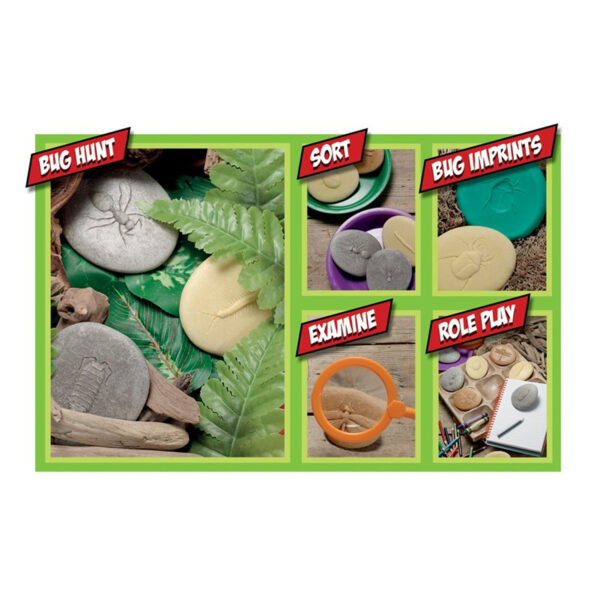 ERSYUS1042_1.jpg Let's Investigate Bugs Stone, Pack of 8