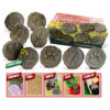 ERSYUS1065.jpg Let's Investigate Farmyard Footprints Stone, Pack of 8