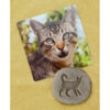 ERSYUS1065_3.jpg Let's Investigate Farmyard Footprints Stone, Pack of 8