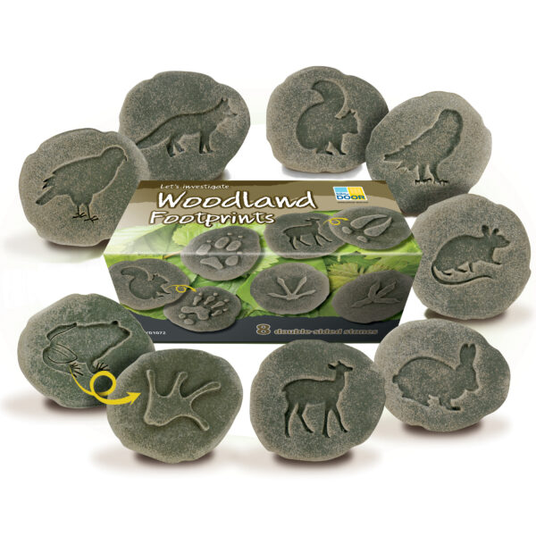 未命名 -1 Let's Investigate Woodland Footprint Stones, Set of 8