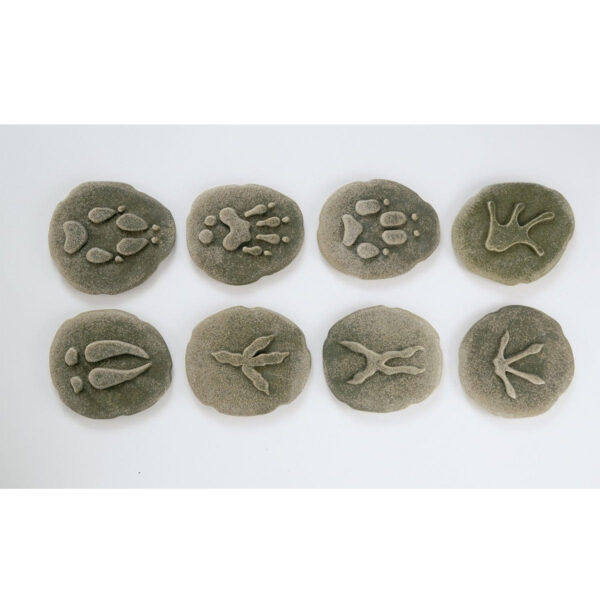 ERSYUS1072_1-2.jpg Let's Investigate Woodland Footprint Stones, Set of 8