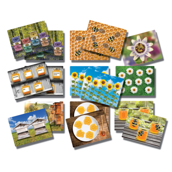 ERSYUS1095.jpg Honey Bee Early Number Cards, Set of 16