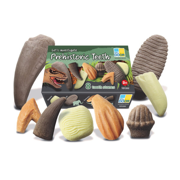 ERSYUS1202.jpg Let's Investigate Prehistoric Teeth, Set of 8