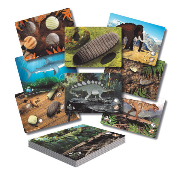 ERSYUS1203.jpg Prehistoric Teeth Explore and Discover Activity Cards, Set of 16